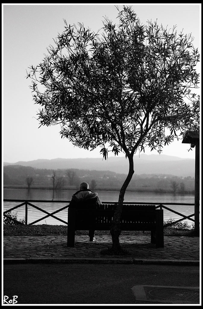 _MG_3206-copia.jpg