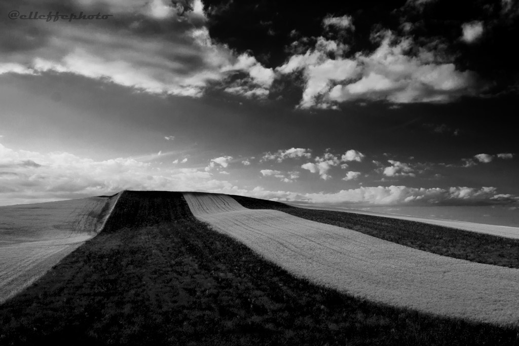 _MG_3210.jpg