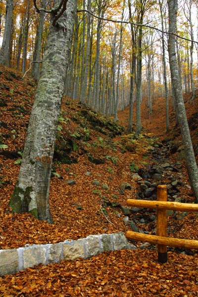 _MG_3210.jpg