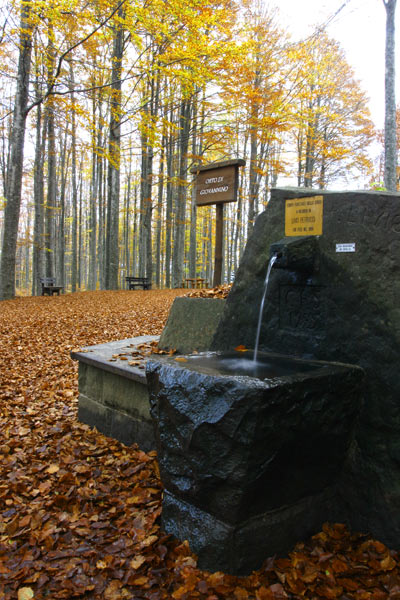 _MG_3216.jpg