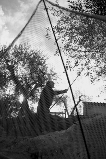_MG_3254.jpg