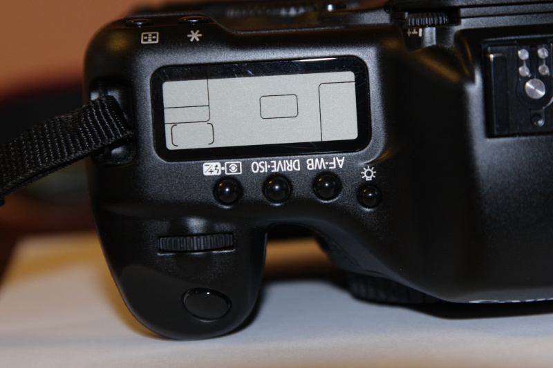 _MG_334101.JPG