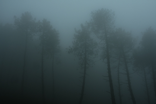 _MG_3523.jpg