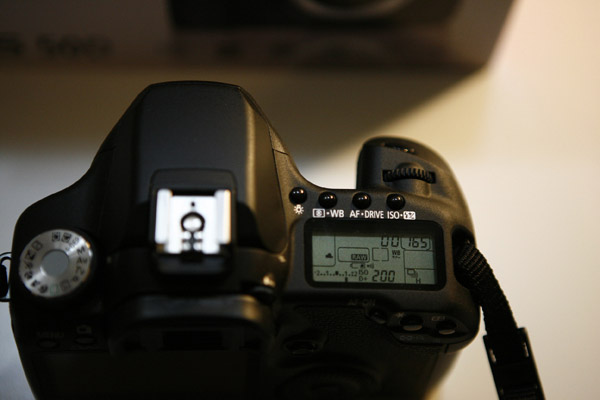 _MG_3583.JPG