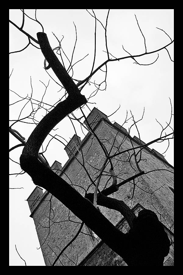 _MG_3705 copy.jpg
