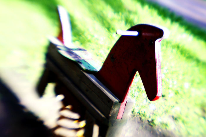 _MG_3725.JPG