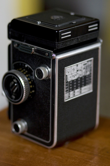 _MG_3729.jpg