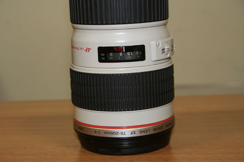 _MG_3774.JPG