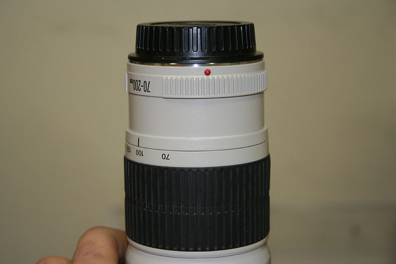 _MG_3779.JPG