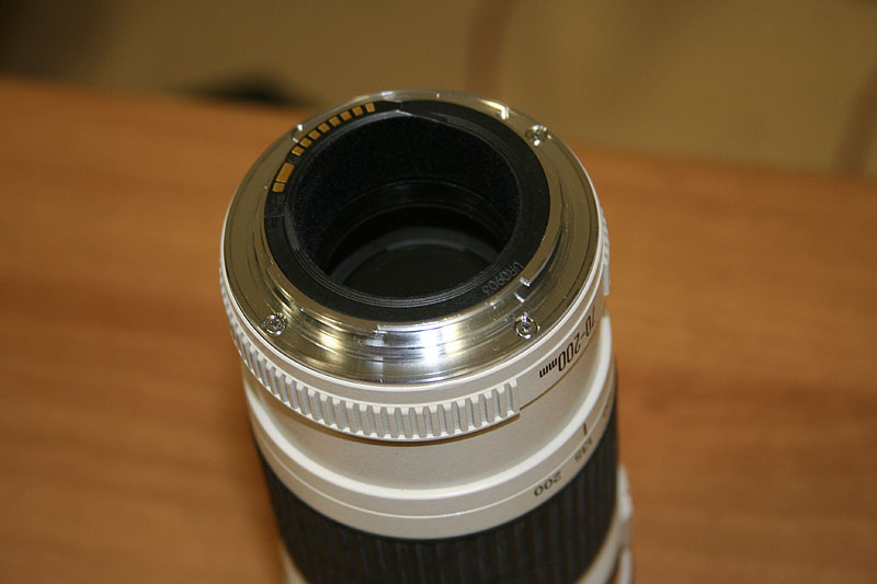 _MG_3781.JPG