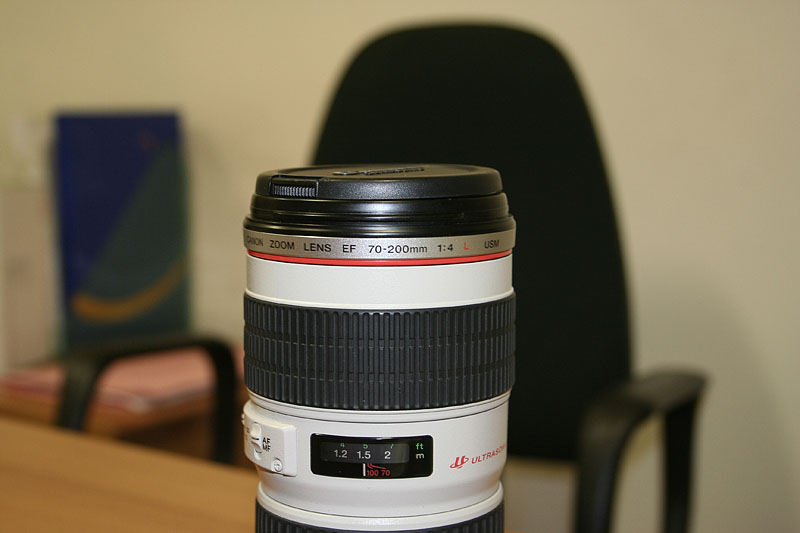 _MG_3786.JPG