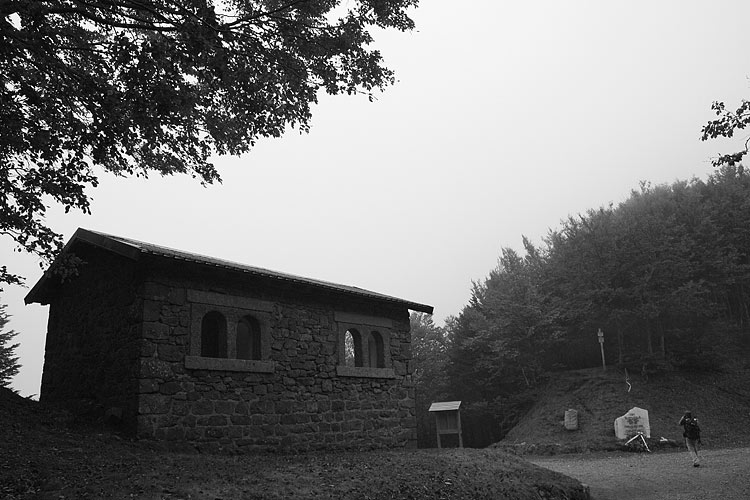 _MG_3942.jpg