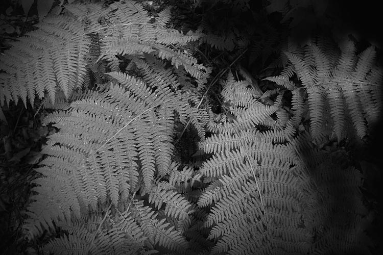 _MG_3944.jpg