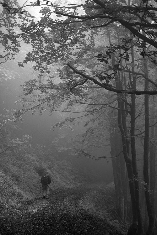 _MG_3950.jpg