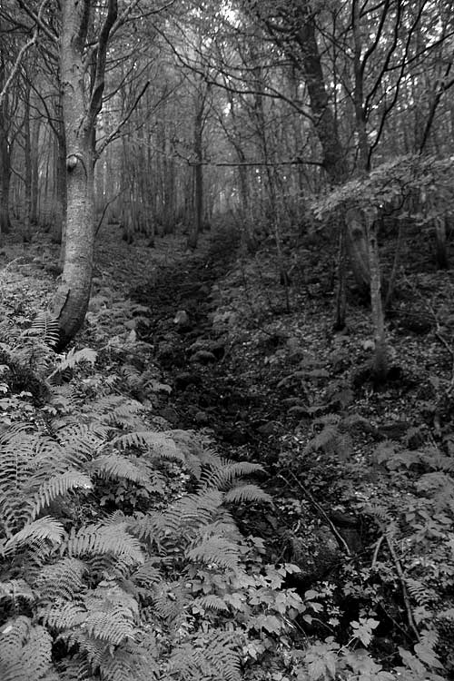 _MG_3955.jpg