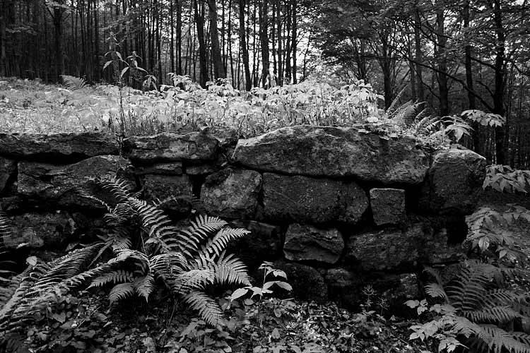 _MG_3964.jpg
