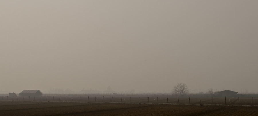 _MG_3972a.jpg