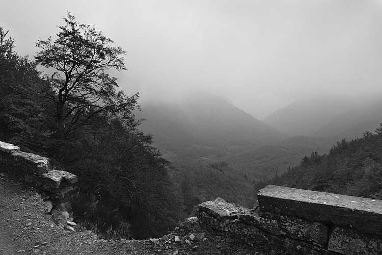 _MG_3973.jpg