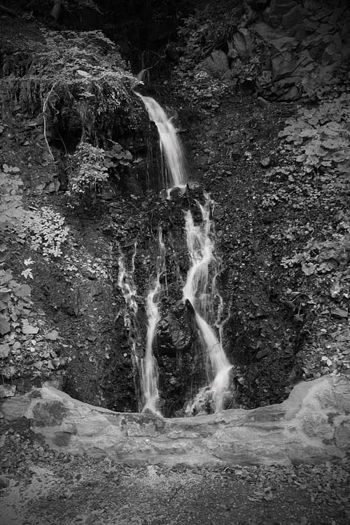 _MG_3980.jpg