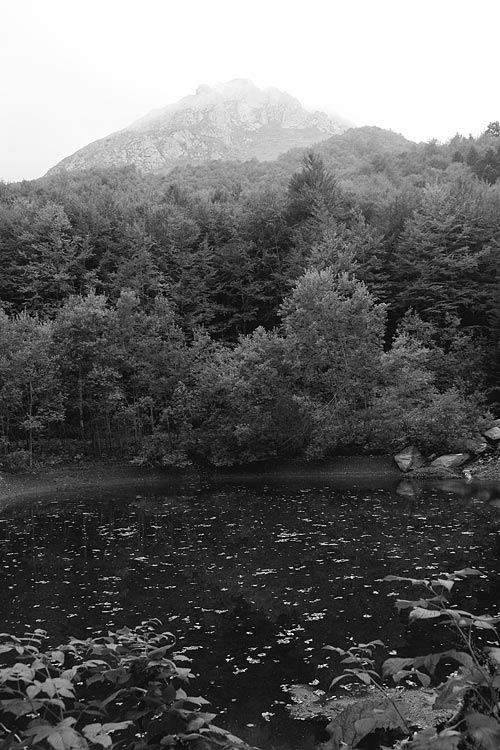 _MG_3997.jpg