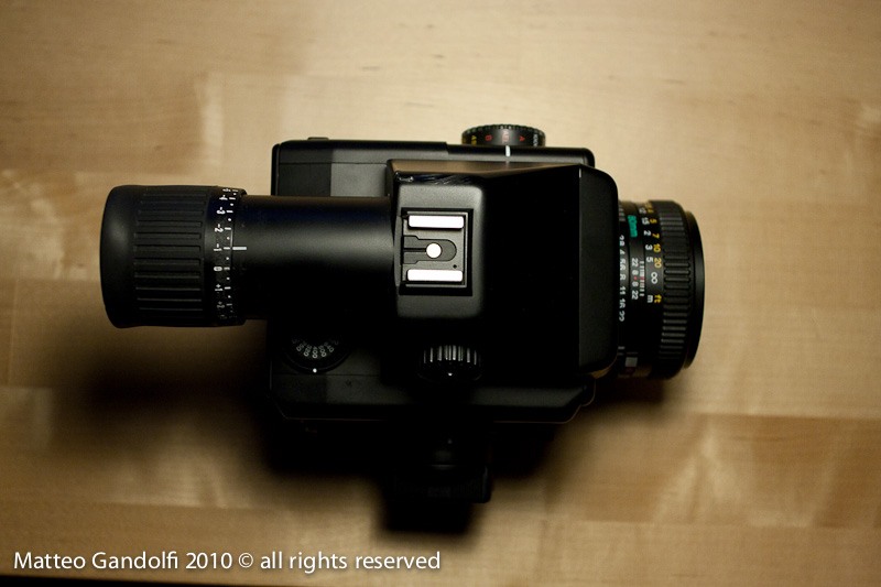 _MG_4001_Mamiya.jpg