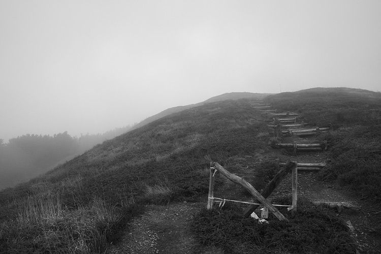 _MG_4006.jpg