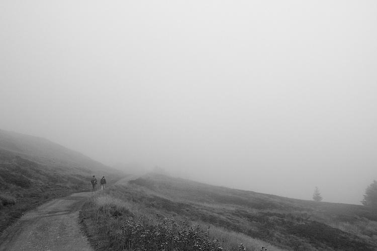 _MG_4007.jpg