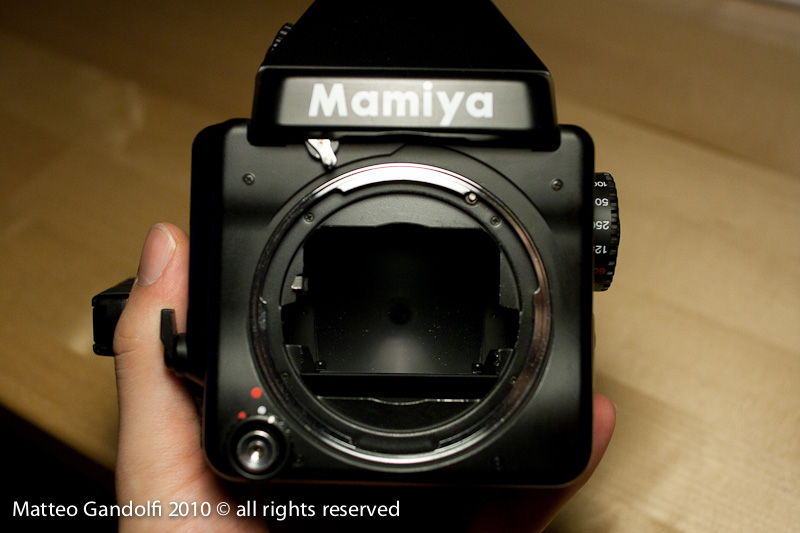 _MG_4008_Mamiya.jpg
