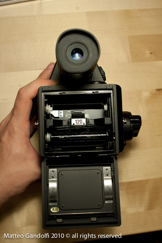 _MG_4009_Mamiya.jpg