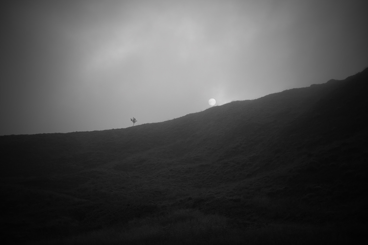 _MG_4032.jpg