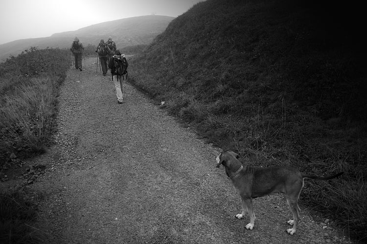 _MG_4034.jpg
