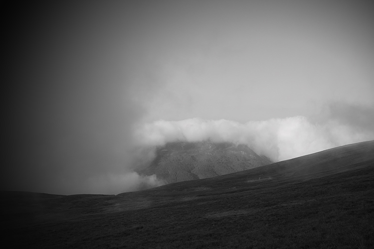 _MG_4045.jpg