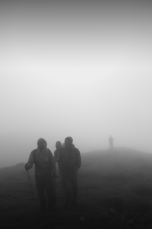 _MG_4047.jpg