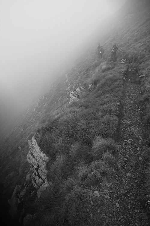_MG_4062.jpg