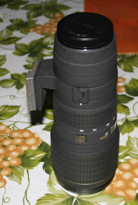 _MG_4075.JPG