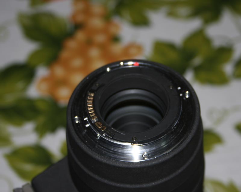 _MG_4076.JPG