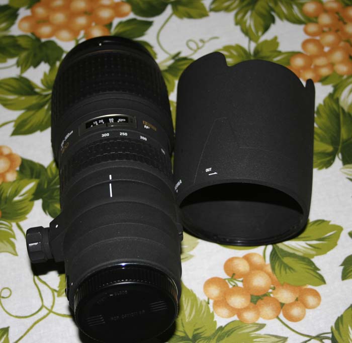 _MG_4080.JPG