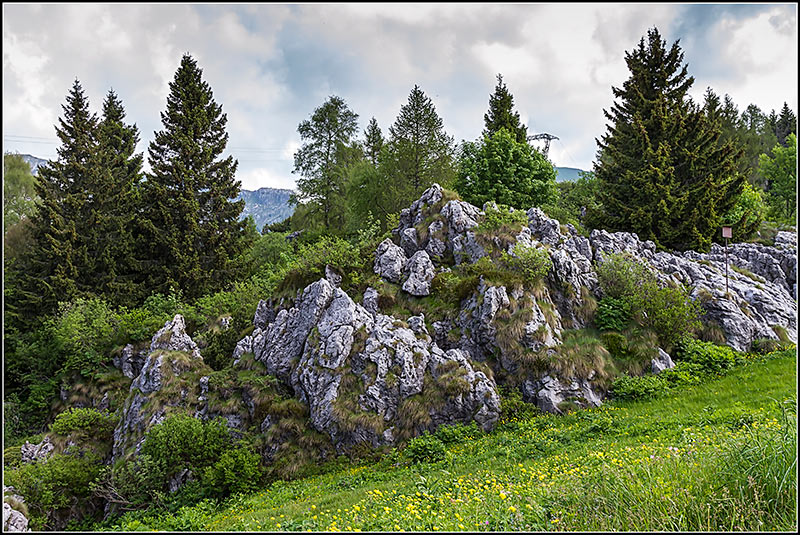 _MG_4119_web.jpg