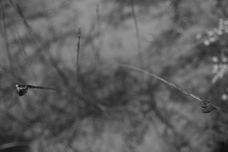 _MG_4149.jpg