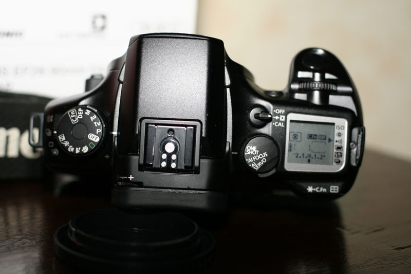 _MG_4216.jpg