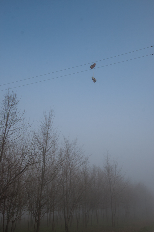 _MG_4325.jpg