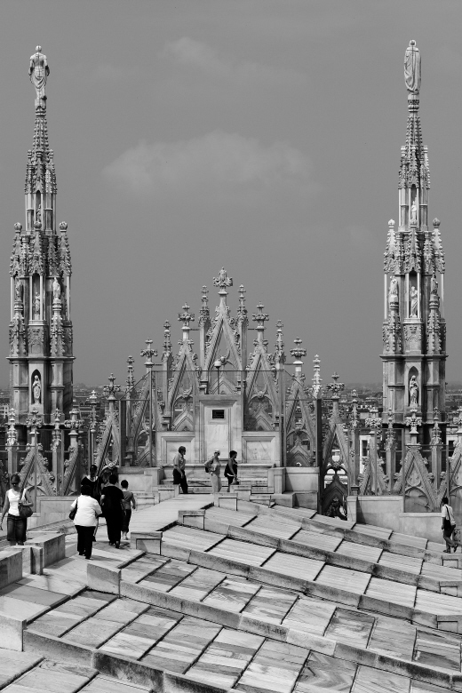 _MG_4426.jpg