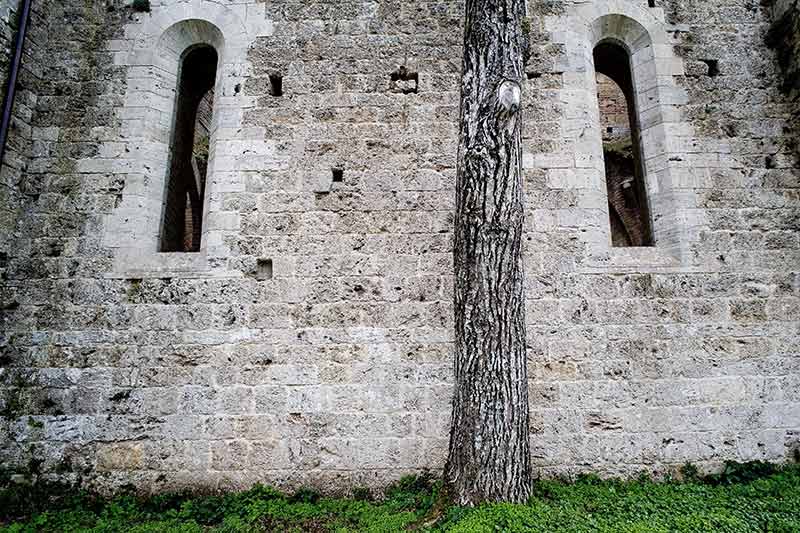 _MG_4505.jpg