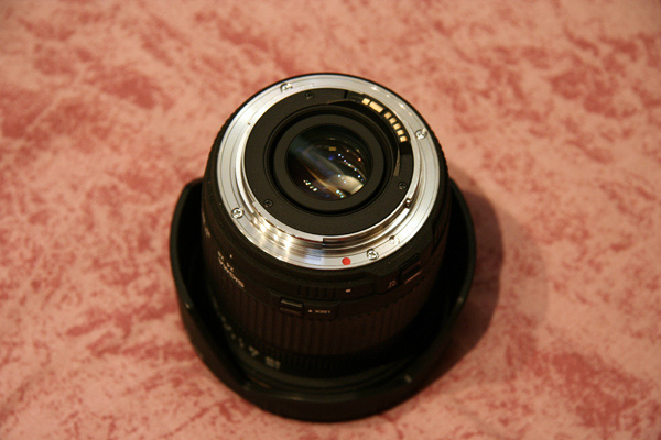 _MG_4510.jpg