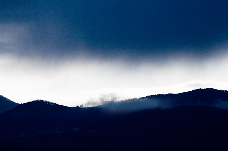 _MG_4513.jpg