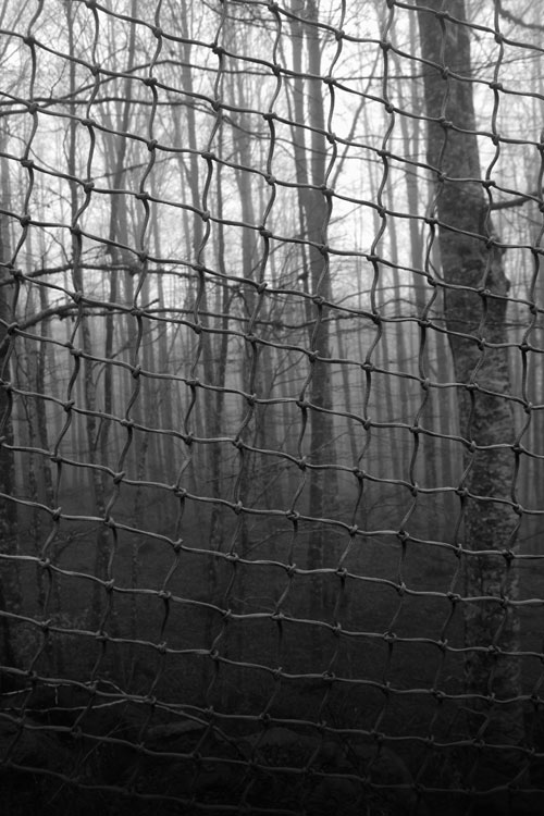 _MG_4626.jpg