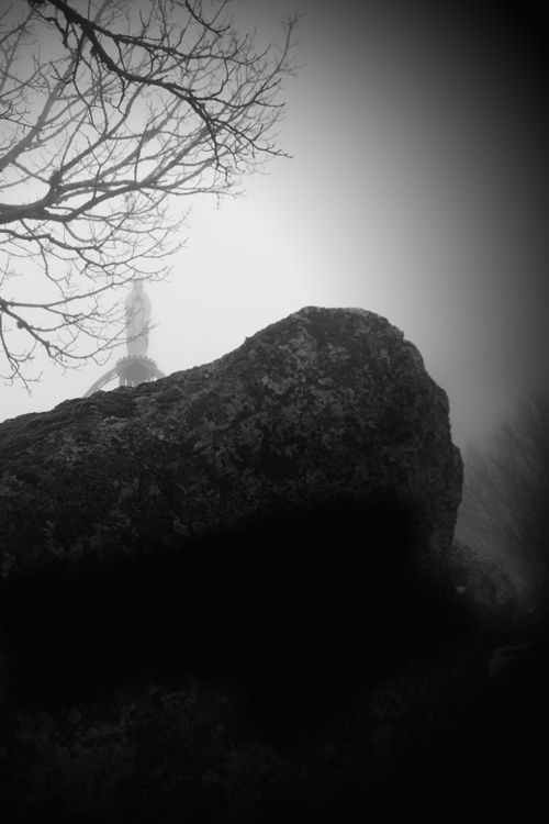 _MG_4678.jpg