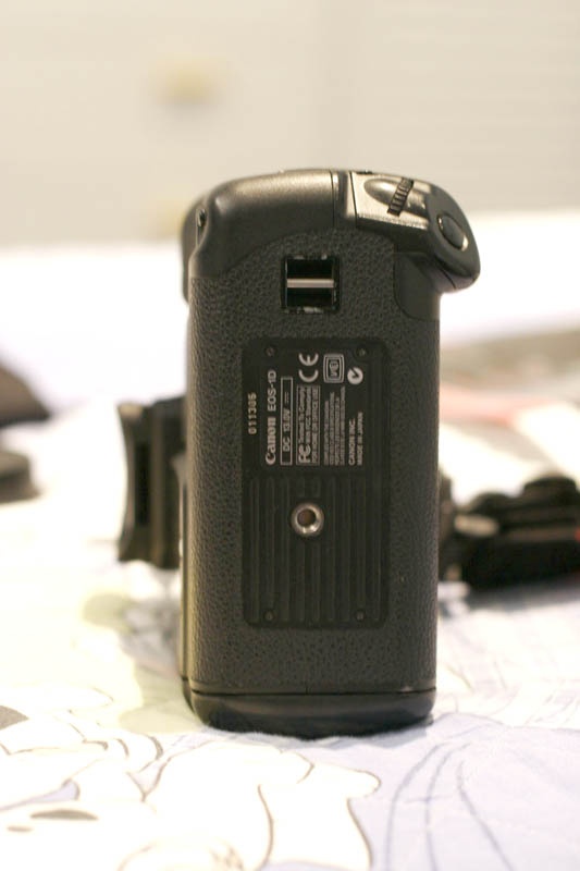 _MG_4681.jpg