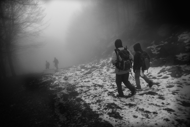 _MG_4682.jpg