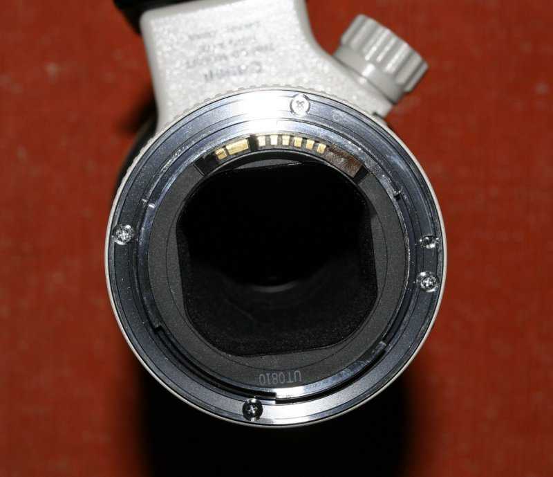 _MG_4699.JPG